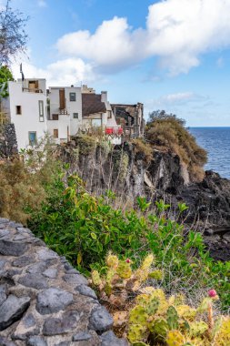 Kanarya Adaları ve Cape Verde 'nin etrafını gezer