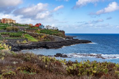 Kanarya Adaları ve Cape Verde 'nin etrafını gezer