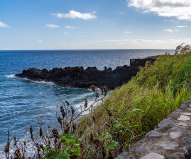 Kanarya Adaları ve Cape Verde 'nin etrafını gezer