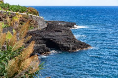 Kanarya Adaları ve Cape Verde 'nin etrafını gezer