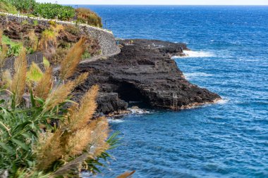 Kanarya Adaları ve Cape Verde 'nin etrafını gezer