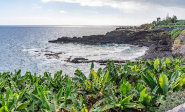 Kanarya Adaları ve Cape Verde 'nin etrafını gezer