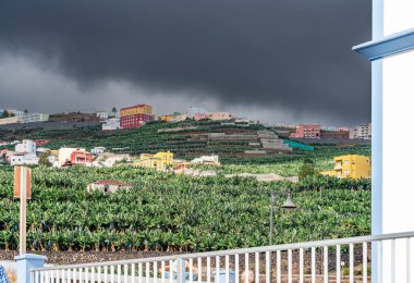 Kanarya Adaları ve Cape Verde 'nin etrafını gezer