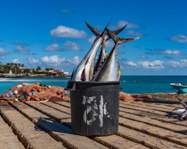 Santa Maria 'nın manzarası, Sal Adası, Cape Verde