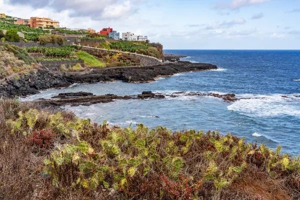 Kanarya Adaları ve Cape Verde 'nin etrafını gezer
