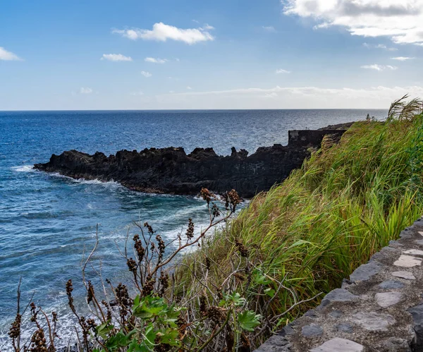 Kanarya Adaları ve Cape Verde 'nin etrafını gezer