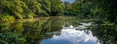 Fauler See in Tiergarten, Berlin, Almanya