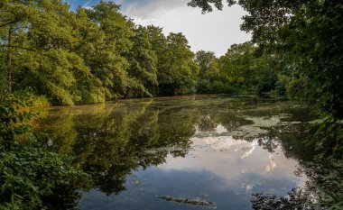 Fauler See in Tiergarten, Berlin, Almanya