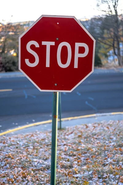 STOP Sign at a Traffic Crossing