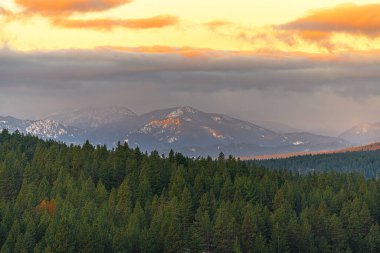 Teanaway Community Forest Area in Fall, Washington State