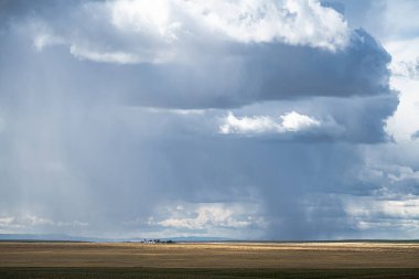 İlkbaharda Pasifik 'in iç kesimlerinde tarım, kuzeybatı Arid Ülkesi, WA