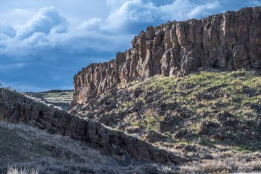 Kolombiya Ulusal Vahşi Yaşam Sığınağında Bazalt Yapıları
