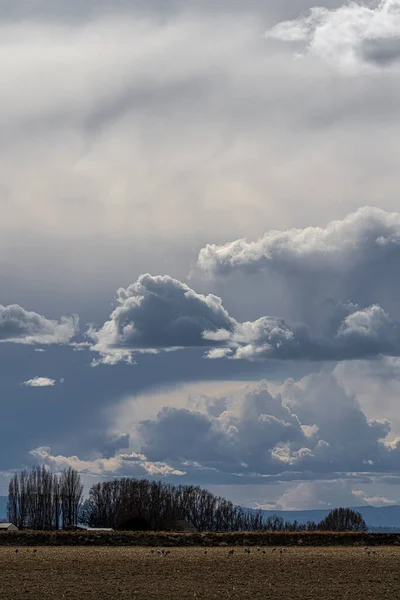 午後遅くの雲と太陽 — ストック写真