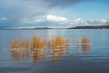 Potholes Reservoir close to Moses Lake, WA clipart