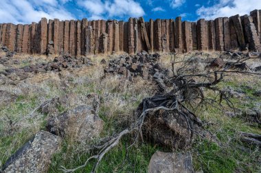 Drumheller Kanalları Ulusal Doğal Kent Simgesi, WA