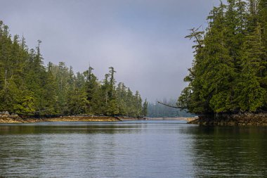 Vancouver Adası Sahil Şeridi Görünümü
