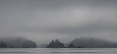 Vancouver Adası Sahili 'nin Önündeki Siste Küçük İsletler
