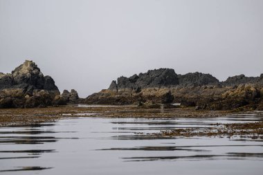Vancouver Adasının Önündeki Rocky Adası