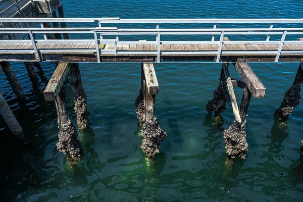 Pier Overgrown Coperto Barnacles — Foto Stock