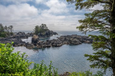 Vancouver Adası 'nın batı kıyısındaki kıyı şeridi.
