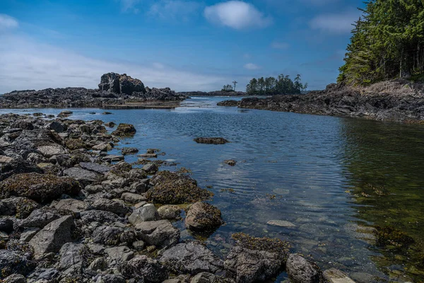 Shoreline Front Vancouver Island West Coast — Stock Photo, Image