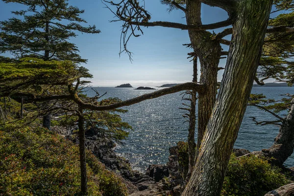 Vancouver Adası Nın Batı Kıyısındaki Adalar — Stok fotoğraf