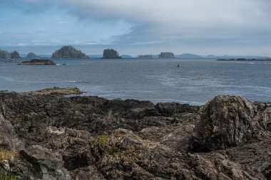 Vancouver Adası 'nın batı kıyısındaki kıyı şeridi