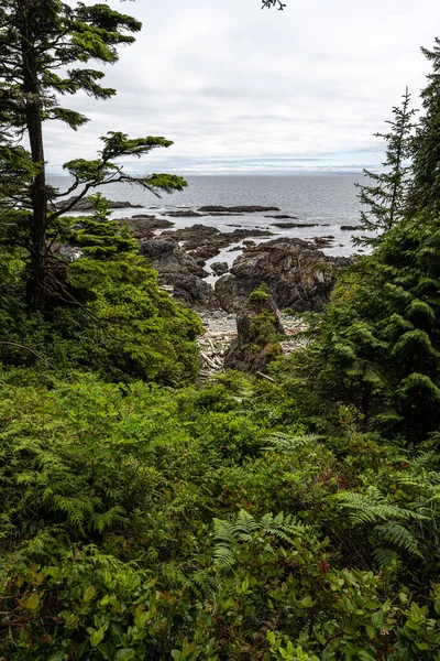 Rocky Shoreline Antik Cedars Döngü Yolu Boyunca Vancouver Adası — Stok fotoğraf