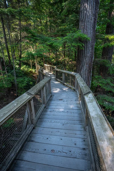 Kävelytie Capilano Suspension Bridge Parkissa Vancouverissa Kanadassa — kuvapankkivalokuva