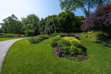 Vancouver 'daki Van Dusen Botanik Bahçesi