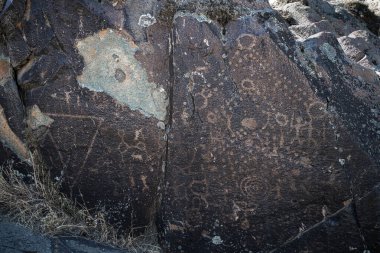 Nez Perce Ulusal Tarih Parkı, WA Petroglyphs