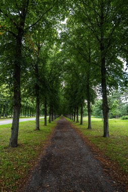 Almanya 'nın Hannover kentinde Georgengarten' de yürüyüş
