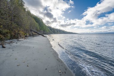Güney Whidbey Eyalet Parkı plajı, WA