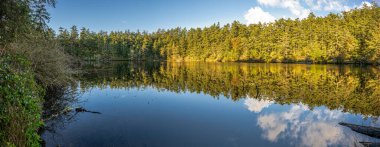 Fort Ebey Eyalet Parkı 'ndaki Pondilla Gölü, WA
