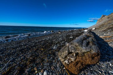 Fort Ebey Eyalet Parkı kıyı şeridi, WA