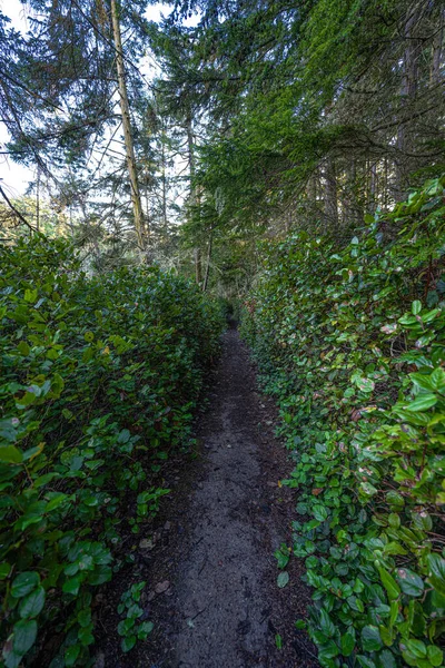 Whidbey Adası, WA 'daki Fort Ebey Eyalet Parkı.