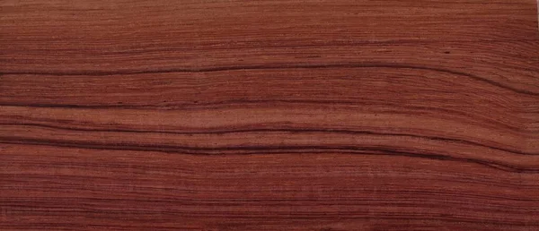 East Indian Rosewood Color Sample. Dalbergia latifolia has hues of reds browns, and other dark features. Highly prized for guitar making and one of the most popular used woods for guitar luthiers.