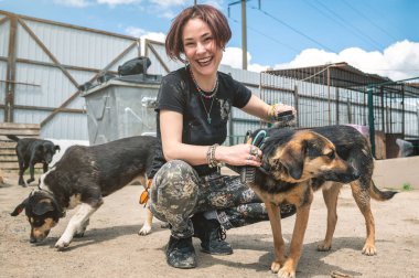 Barınaktaki köpek. Hayvan barınağı gönüllüsü köpekleri besliyor. Kafeste yalnız köpekler ve neşeli bir gönüllü kadın.