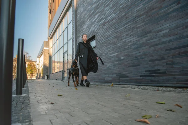 Woman with Doberman on the city street. Young woman walking her dog through the city streets. Teenager girl with dog