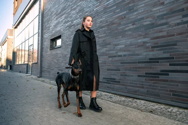 Woman with Doberman on the city street. Young woman walking her dog through the city streets. Teenager girl with dog