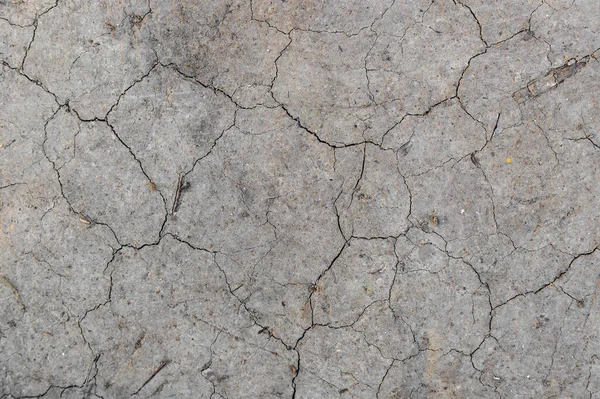 Ground Cracked Hot Weather Global Warming Drought Concept Natural Background — Stock Photo, Image