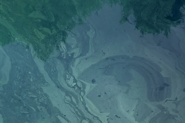 Грязная Поверхность Воды Загрязненный Водоем Образ Загрязнения Воды — стоковое фото