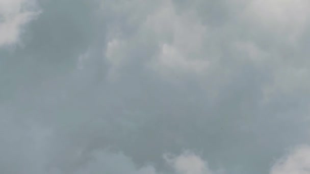 Тімелапс Сірих Хмар Пливуть Небу Хмари Пливуть Через Сіре Небо — стокове відео