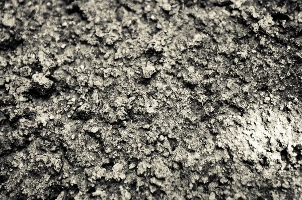 Почва Мороз Открытой Местности Поверхность Грунда Фон — стоковое фото