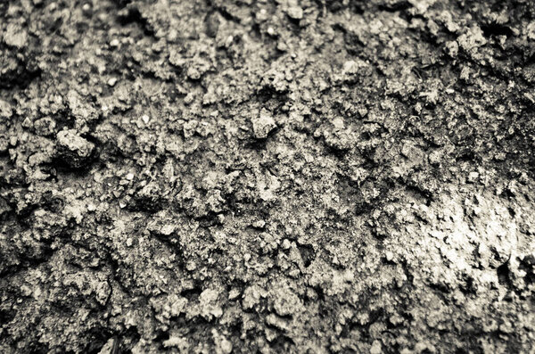 Soil. Frost on the open ground close up. Ground surface as background 