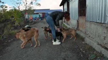 Hayvan barınağı gönüllüsü köpeklerle ilgileniyor. Barınaktaki köpek. Kafesteki Lonley köpekleri neşeli kadın gönüllülerle