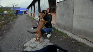 Hayvan barınağı gönüllüsü köpeklerle ilgileniyor. Barınaktaki köpek. Kafesteki Lonley köpekleri neşeli kadın gönüllülerle