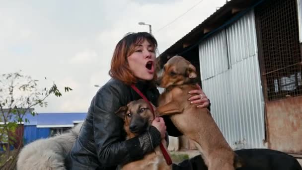 Voluntarul Adăpostului Pentru Animale Grijă Câini Câine Adăpost Câini Lonley — Videoclip de stoc