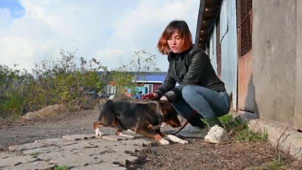 動物保護団体のボランティアが犬の世話をする シェルターで犬 陽気な女性ボランティアとケージにいるLonley犬 — ストック動画