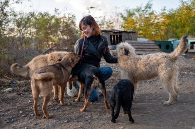 Hayvan barınağı gönüllüsü köpeklerle ilgileniyor. Barınaktaki köpek. Kafesteki Lonley köpekleri neşeli kadın gönüllülerle